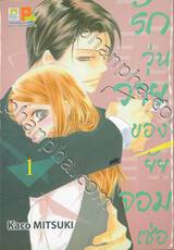 รักวุ่นวายของยัยจอมเซ่อ LOVE IS PHANTOM เล่ม 01